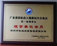 凱鴻集團 引領(lǐng)因私出入境中介服務(wù)的專業(yè)力量